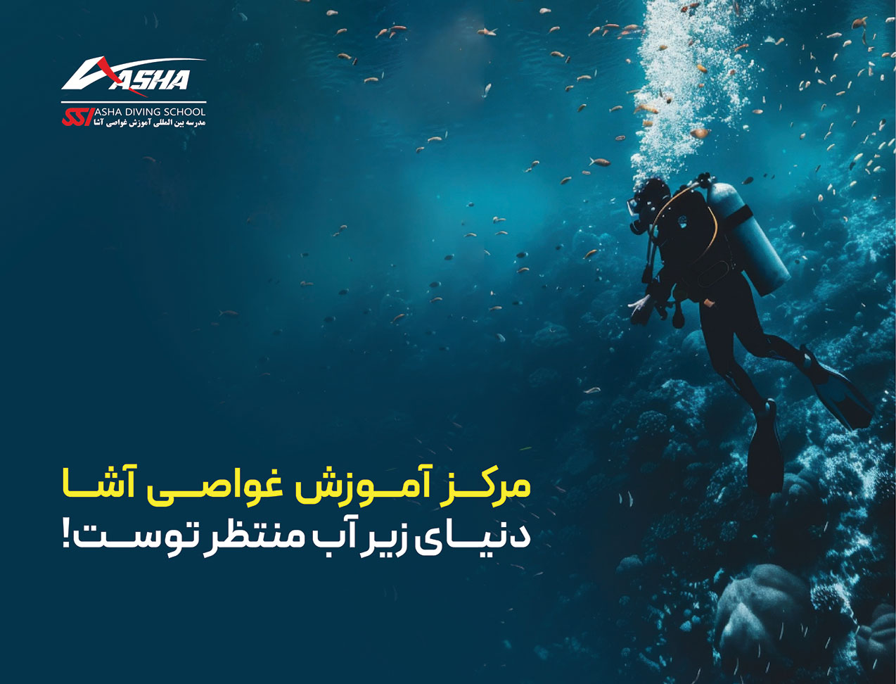 مدرسه آموزش غواصی و شنای آشا